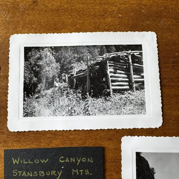 Willow Canyon Stansbury Mountains Original 1944 Photographs Tooele Miner’s Shack - Picture 7 of 12